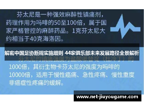 解密中国足协新规实施细则 44家俱乐部未来发展路径全景解析