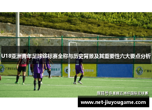 U18亚洲青年足球锦标赛全称与历史背景及其重要性六大要点分析