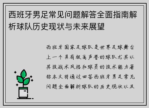 西班牙男足常见问题解答全面指南解析球队历史现状与未来展望